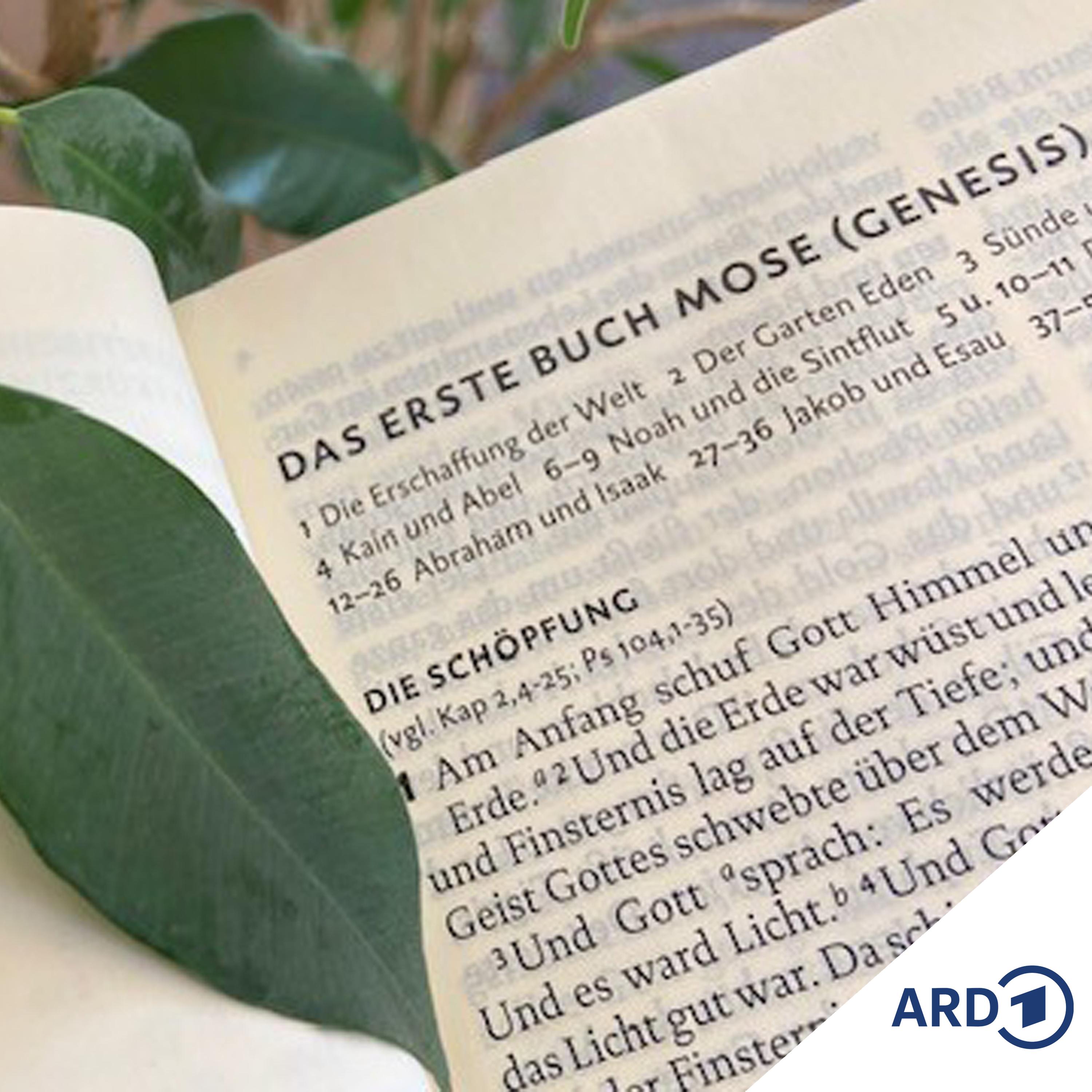 De Schöpfung