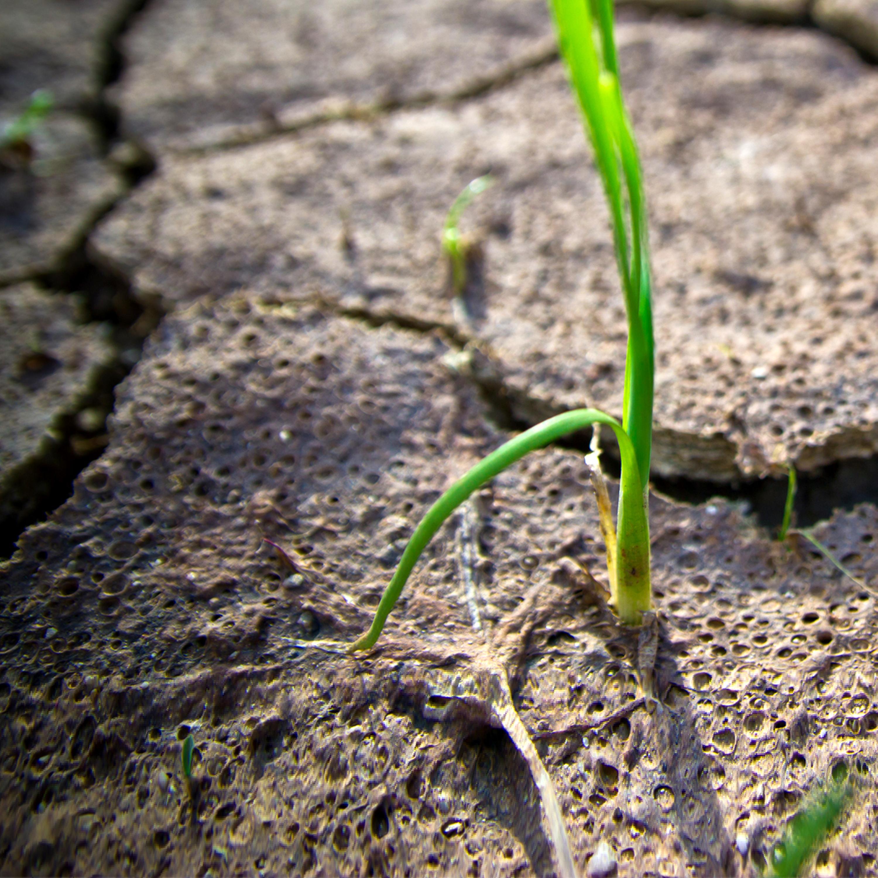 Synapsen – ein Wissenschaftspodcast