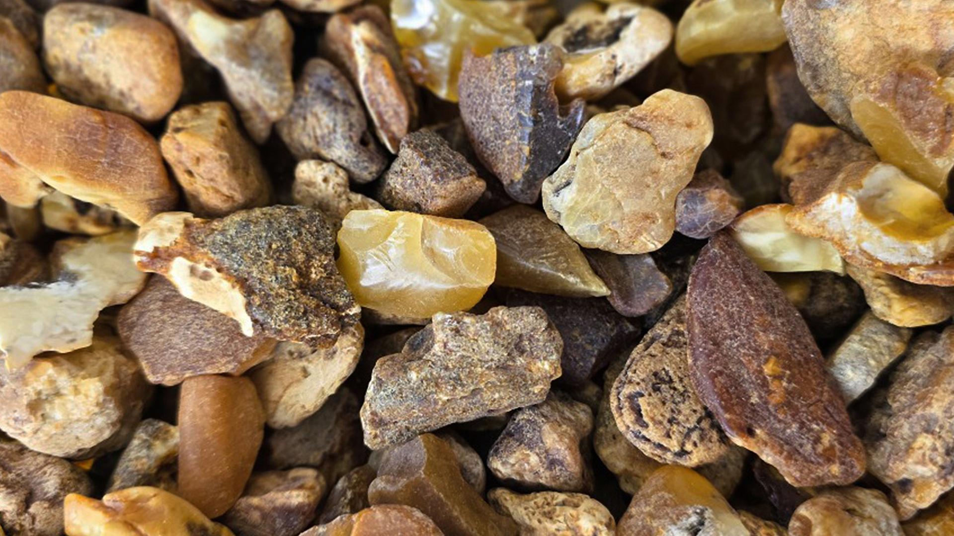 Nordsee-Bernstein: Das unterschätzte Gold der Westküste