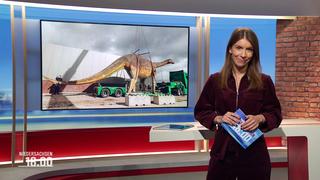 Moderatorin Lena Mosel