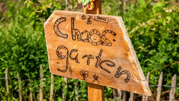 Organischer Dnger: Ideal im klimafreundlichen Garten | ndr.de