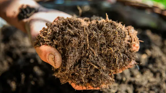 Eine Hand mit torffreier Erde. 