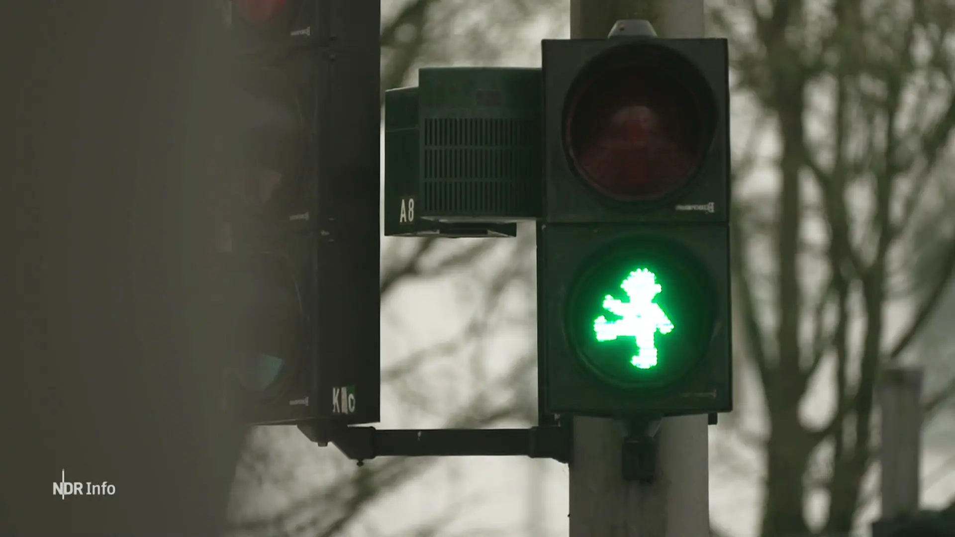 Ernie und Bert als Ampelmännchen: Zwei neue Ampeln für Hamburg