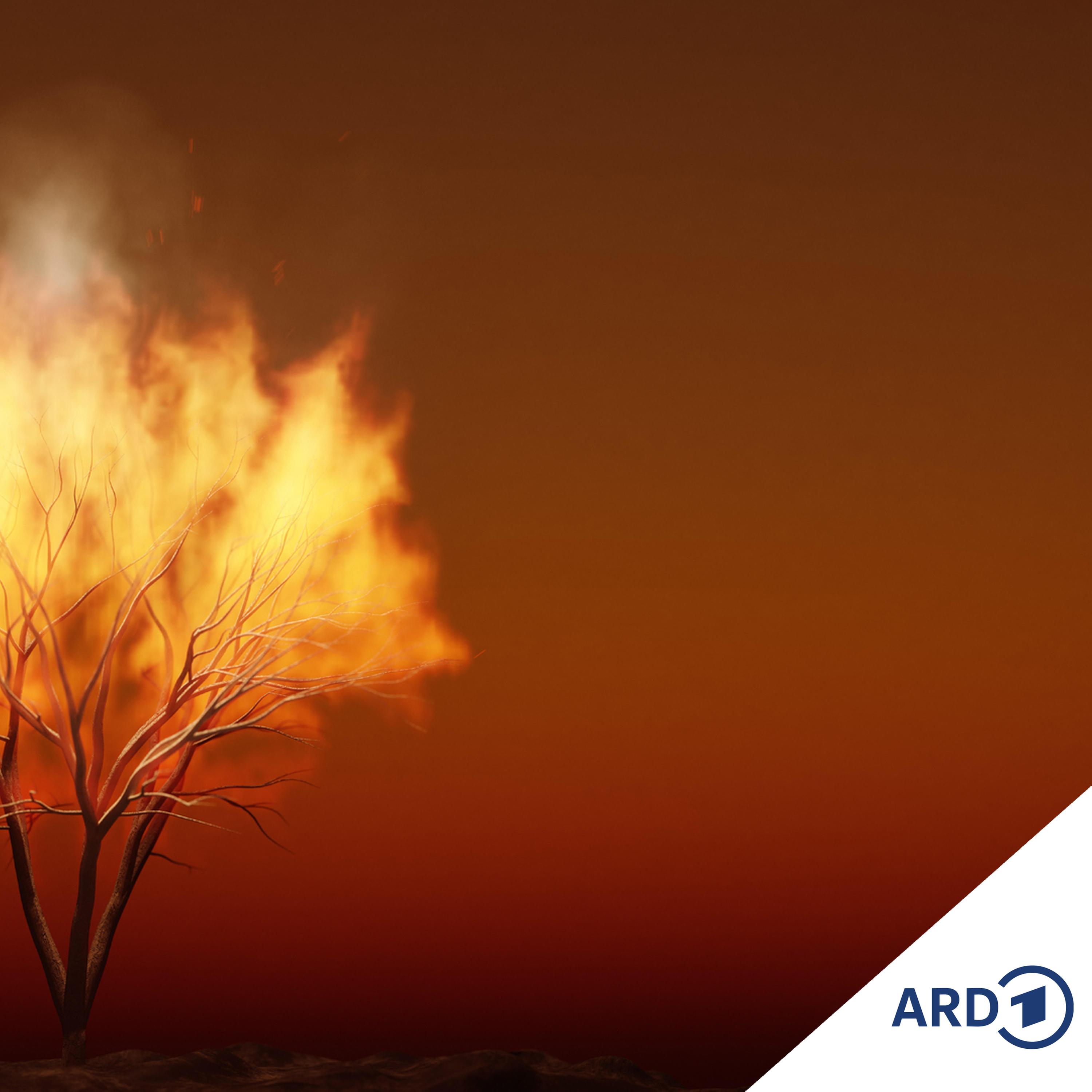 Feuer und Flamme sein - Wo brennt es symbolisch in den Religionen?