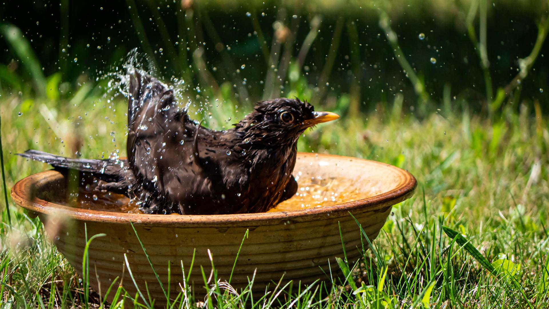 Wetter im Norden: Heute Warnung vor extremer Hitze