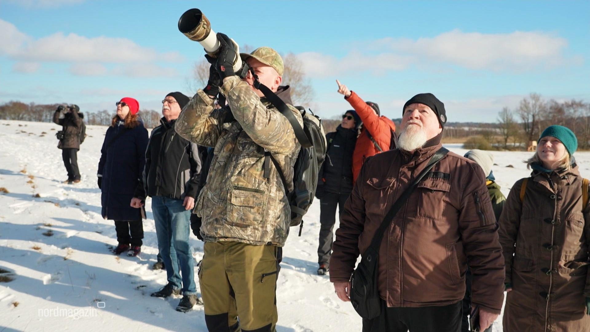 Seeadlern am Großen Jasmunder Bodden auf der Spur