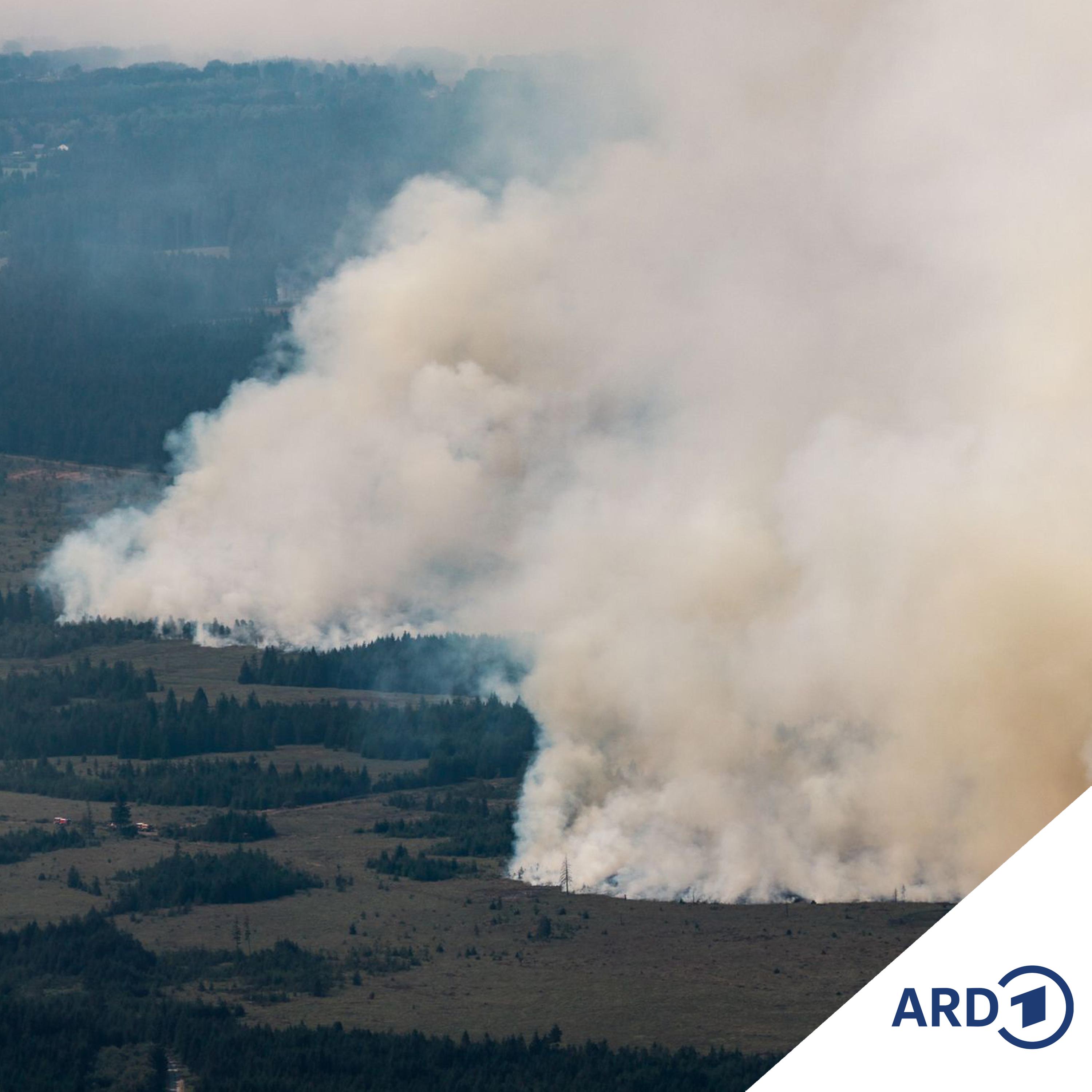 Waldbrände in der Eifelregion: Lage entspannt sich
