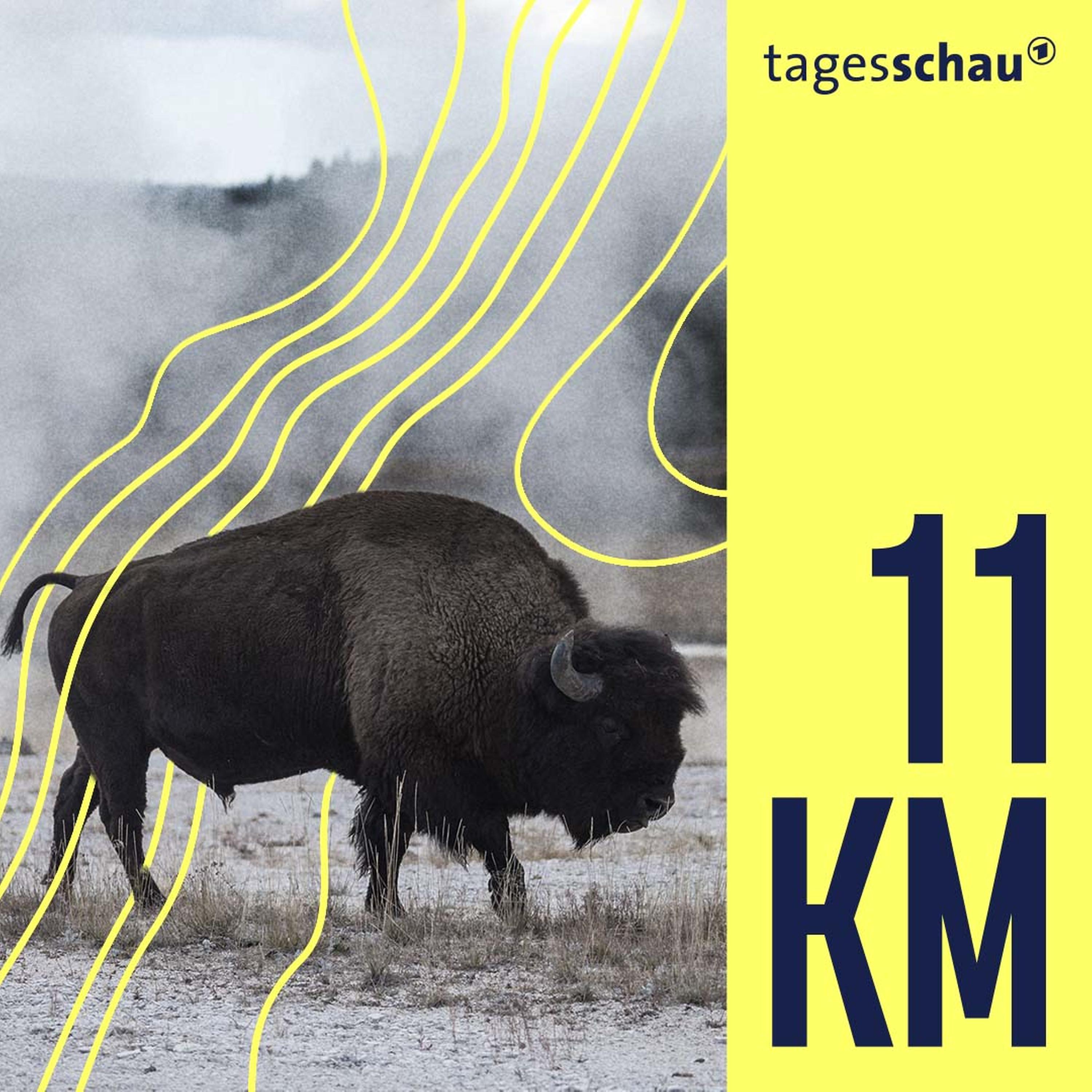 11KM: der tagesschau-Podcast