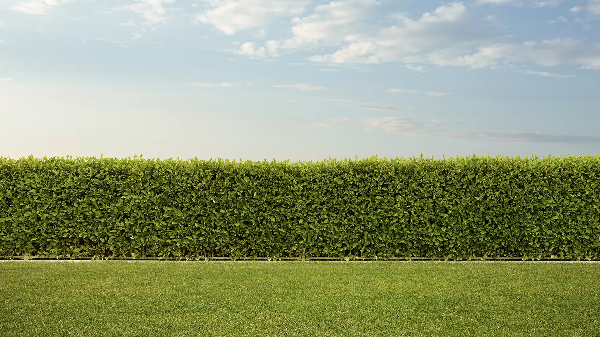 Gute Nachbarn, schlechte Nachbarn - was sie laut #NDRfragt ausmacht