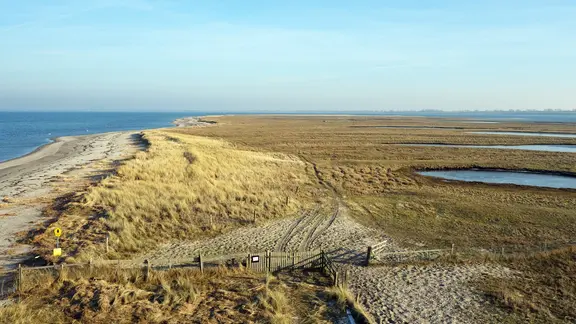 Landschaft auf der Halbinsel Graswarder in Heiligenhafen. | NDR, Kathrin Weber Landschaft auf der Halbinsel Graswarder in Heiligenhafen.