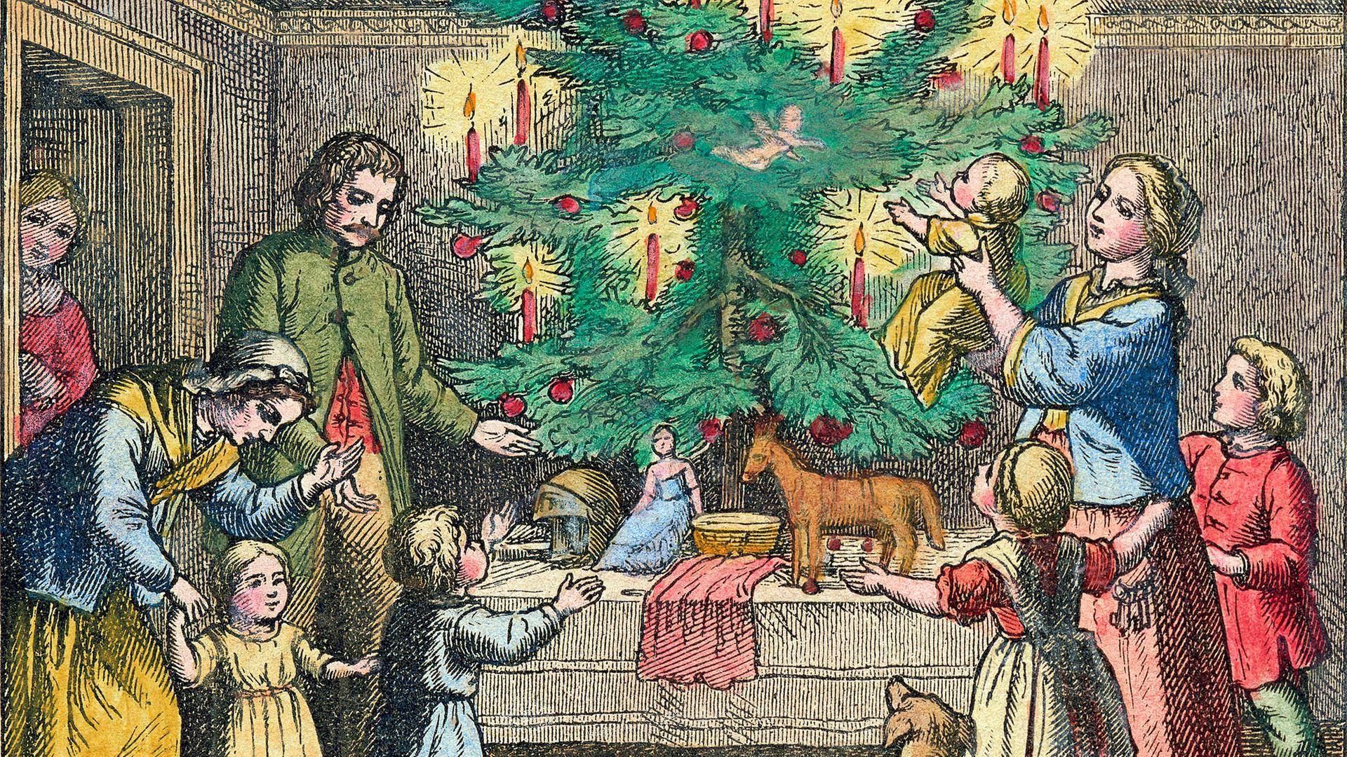 Der Weihnachtsbaum: Wie kam die Tanne vom Wald in die Wohnung?