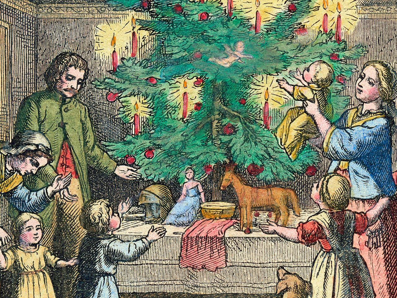 Pro und Contra: Wie schn muss der Weihnachtsbaum sein?