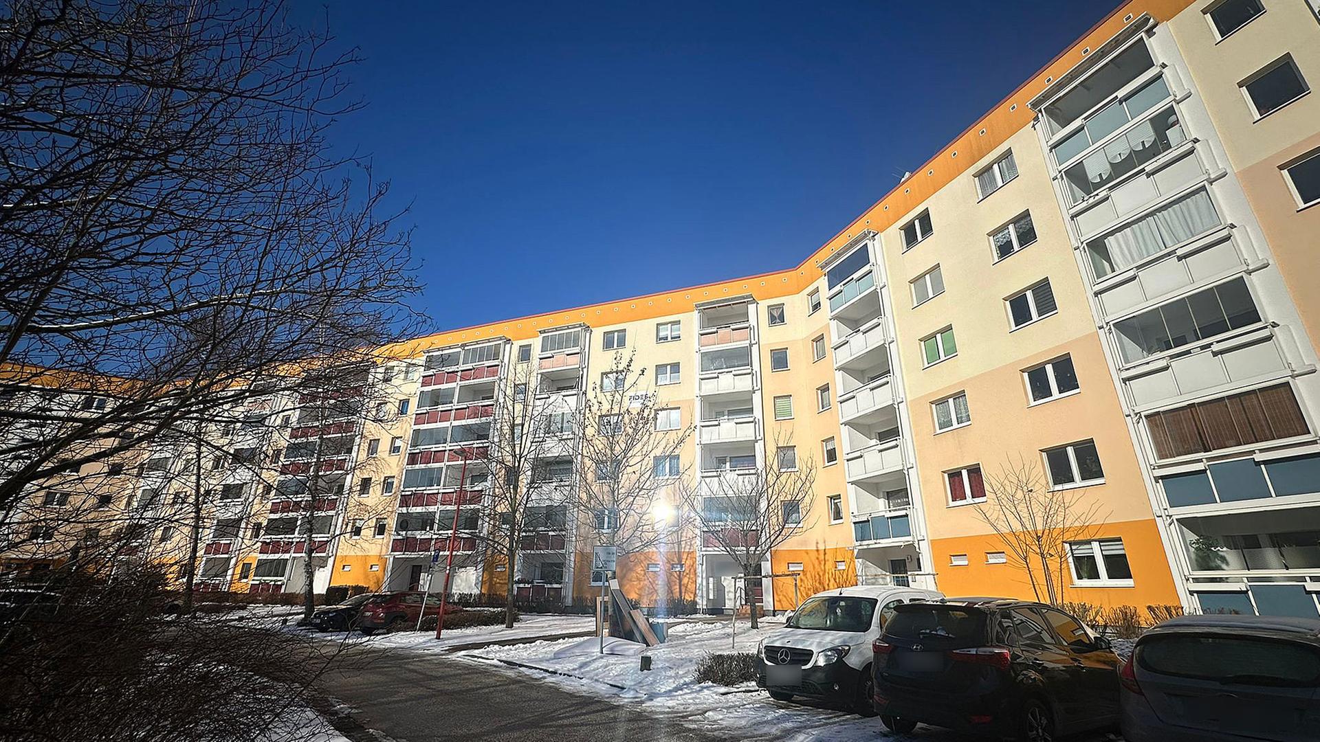 Hund beißt Kleinkind in Rostock: Mädchen schwer verletzt