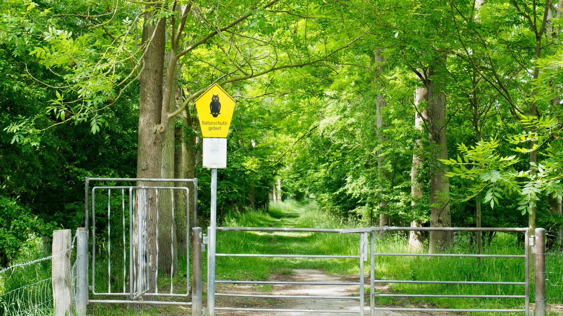 Bishorst: Elbmarschen und Natur rund um ein versunkenes Dorf | ndr.de Bishorst: Elbmarschen und Natur rund um ein versunkenes Dorf | ndr.de
