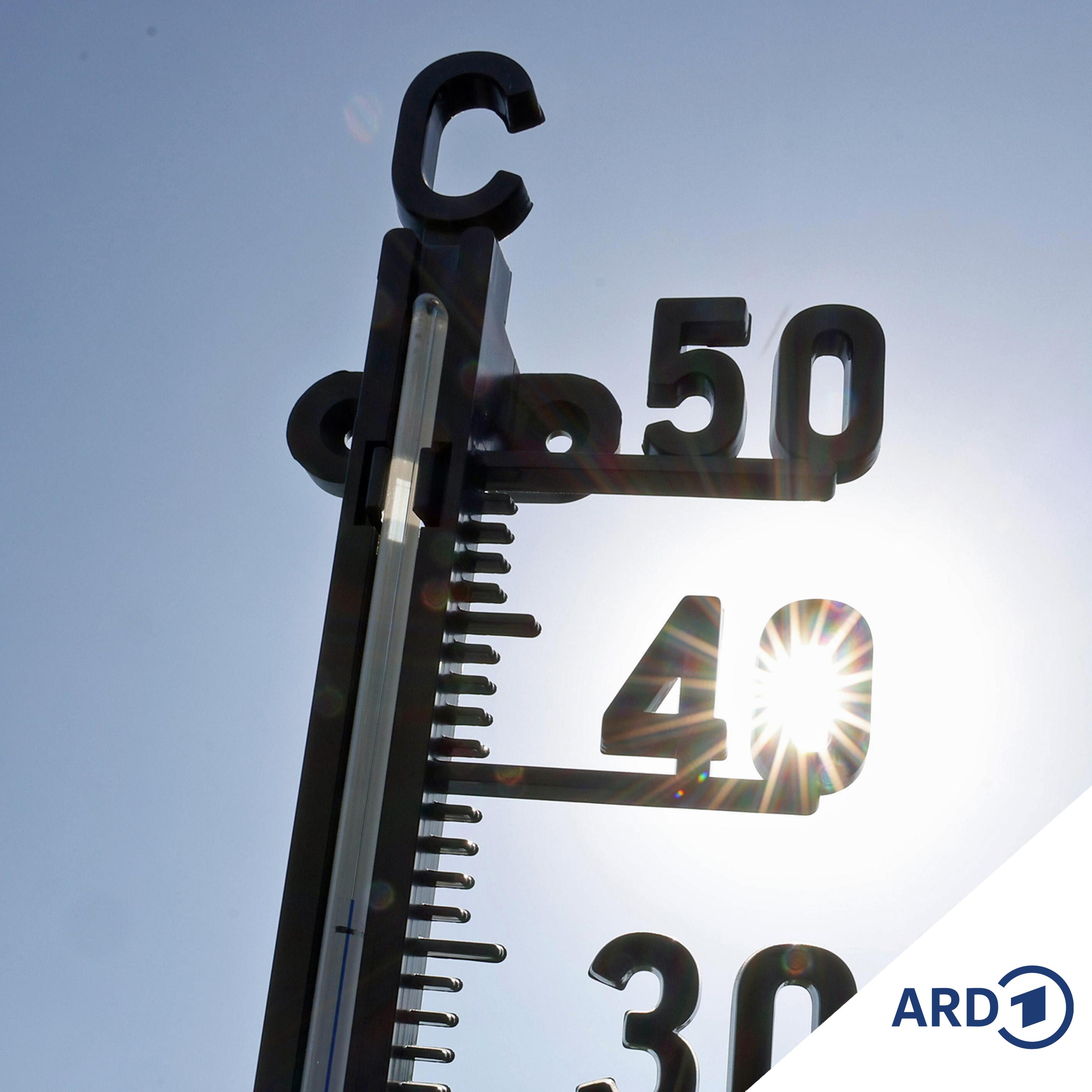 Rekordtemperaturen: Wie kommen wir gut durch die Hitzetage?