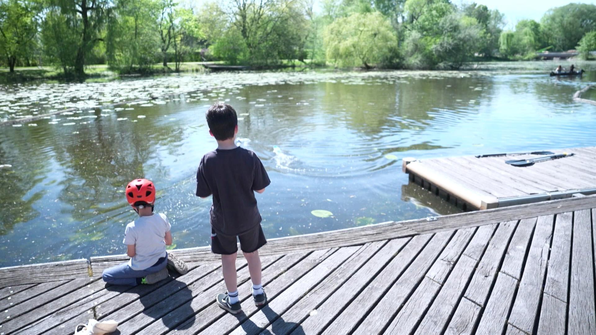 Abkühlung im Wilhelmsburger Inselpark
