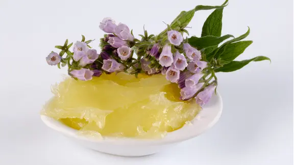 Beinwell-Salbe in einer Schale