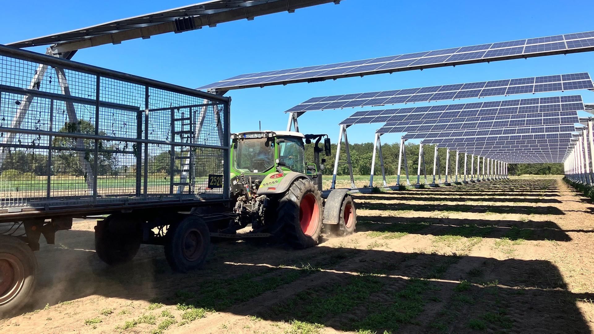 Ein Trecker fährt unter Solarmodulen auf einem Acker entlang. | NDR, Ines Burckhardt