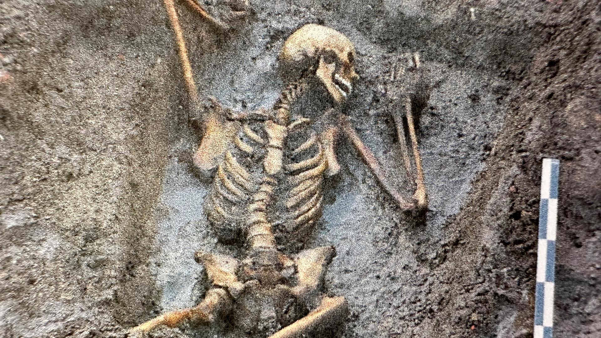 300 Skelette bei Ausgrabungen in Greifswald gefunden