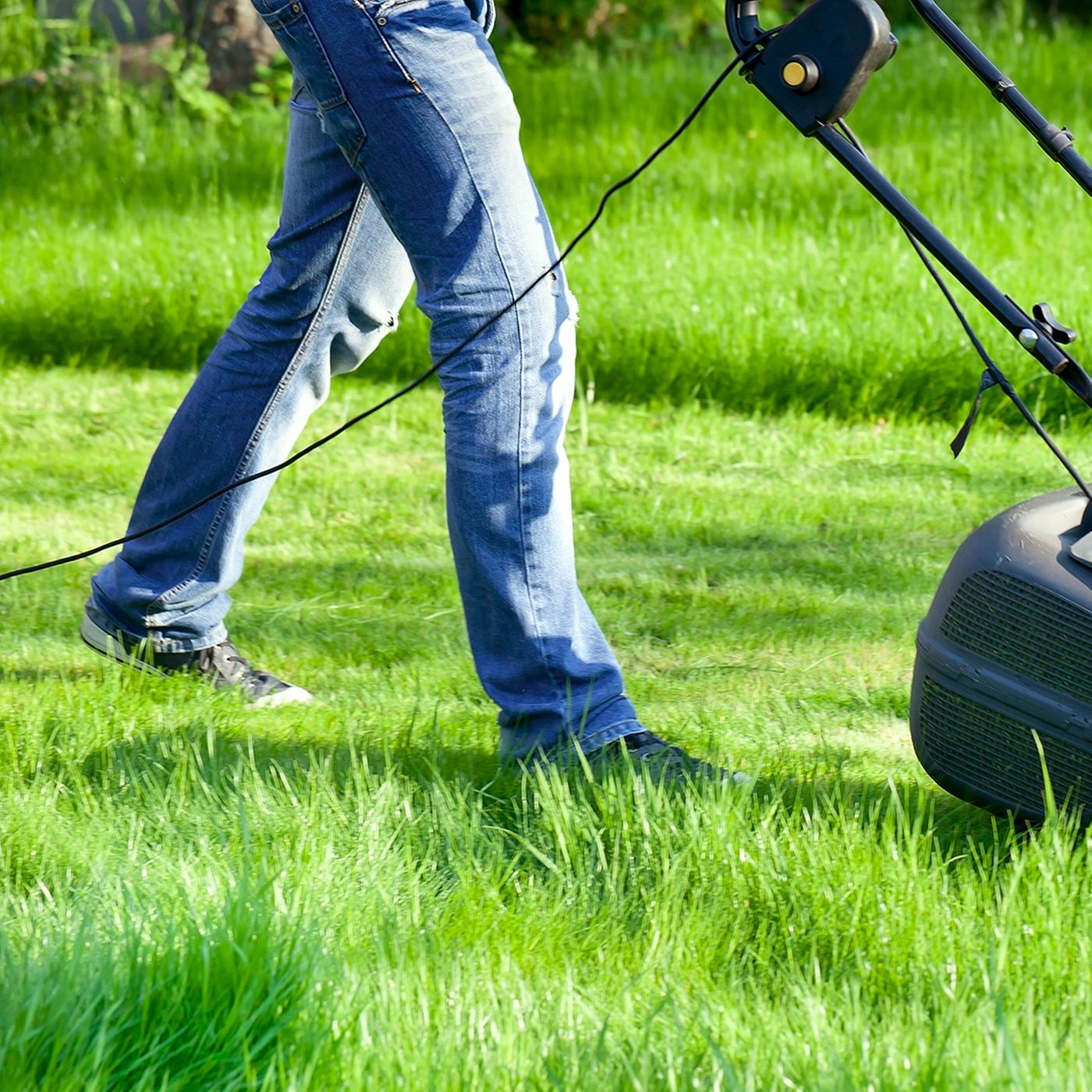 dünger für apfelbaum im topf Apfelbaum-Flüssigdünger 500 ml
