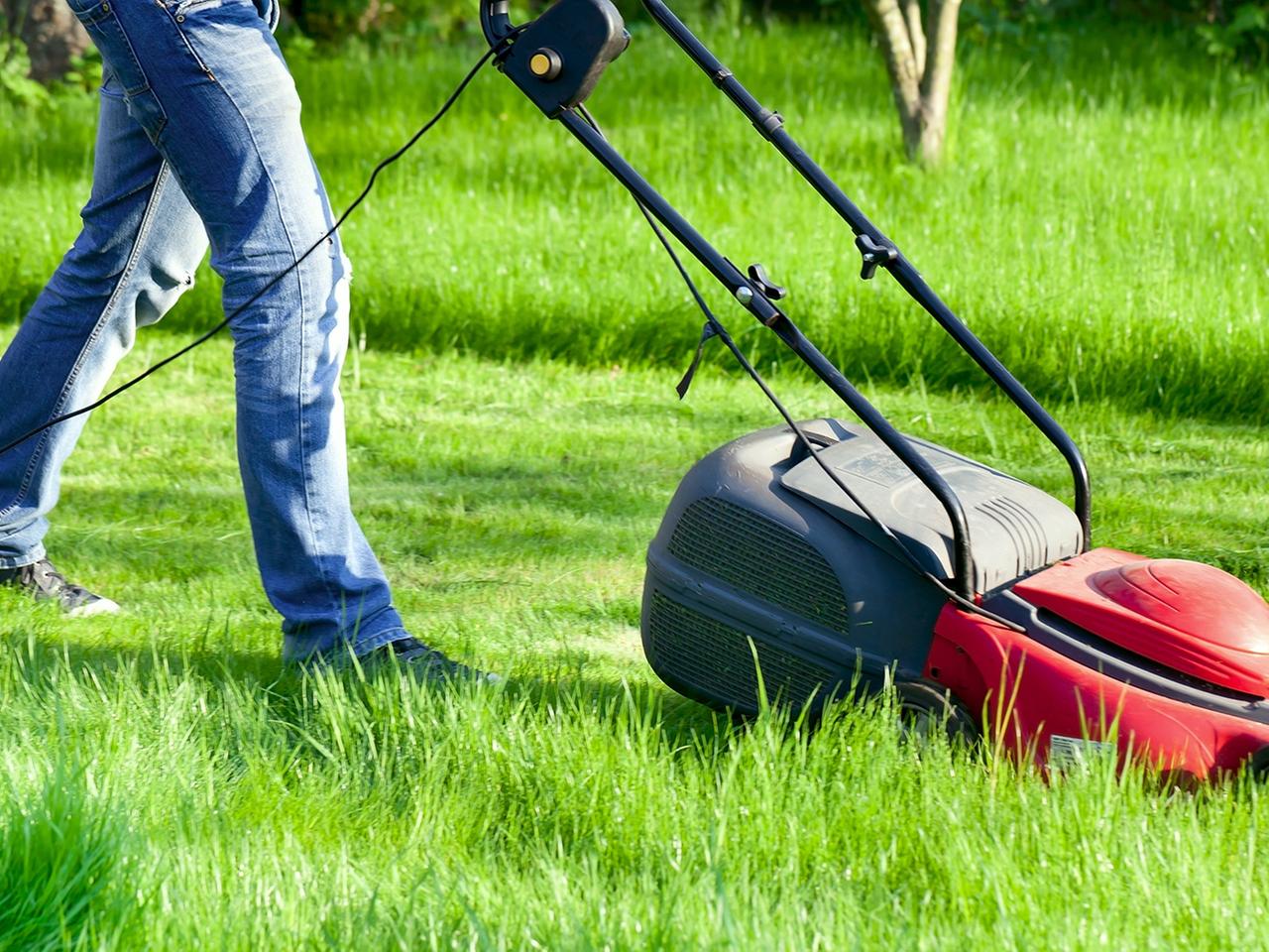 Rasen dngen, mhen und pflegen: Die besten Tipps | ndr.de
