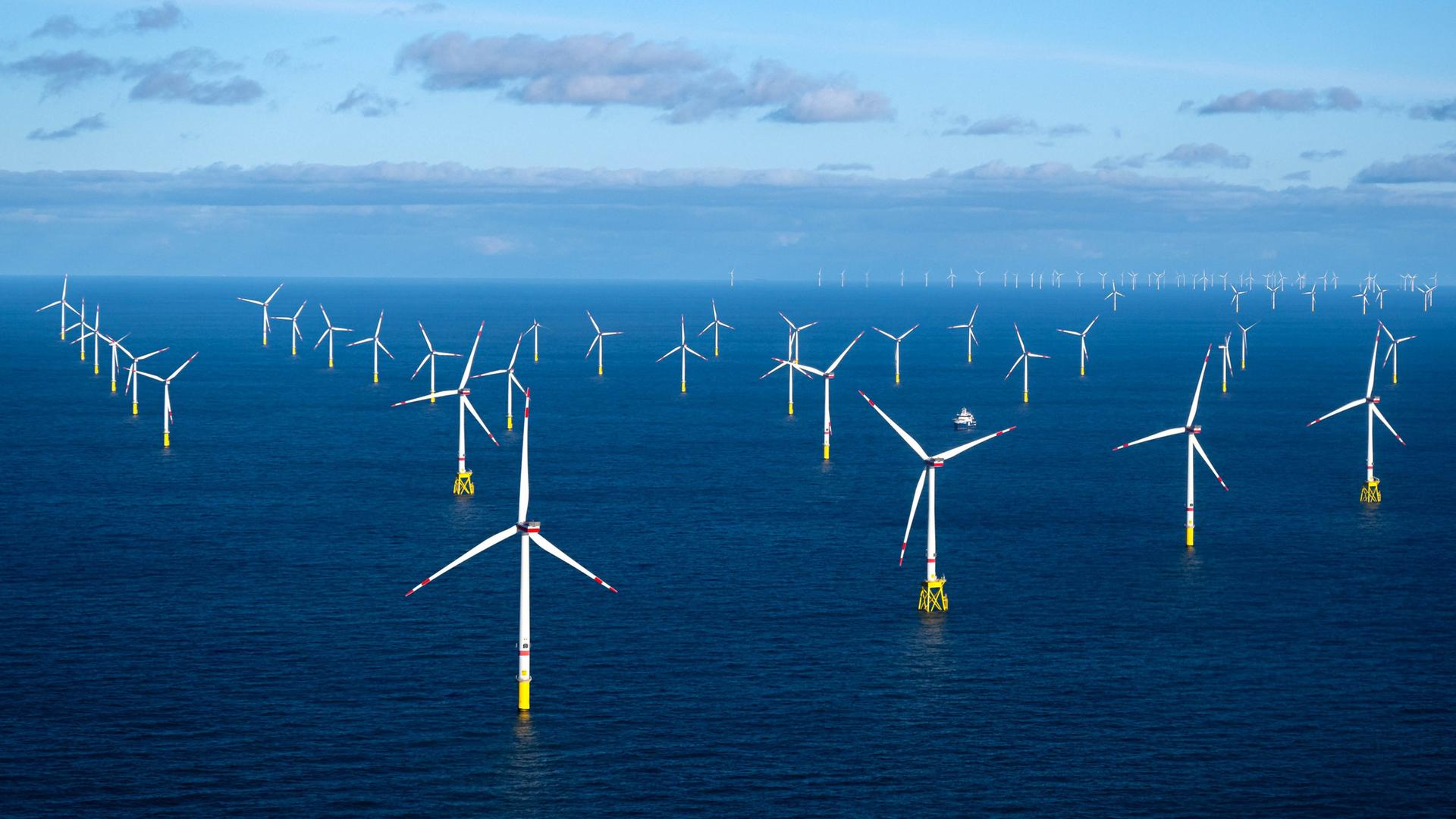 Der Offshore-Windpark Dolwin Alpha. | picture alliance/dpa | Sina Schuldt