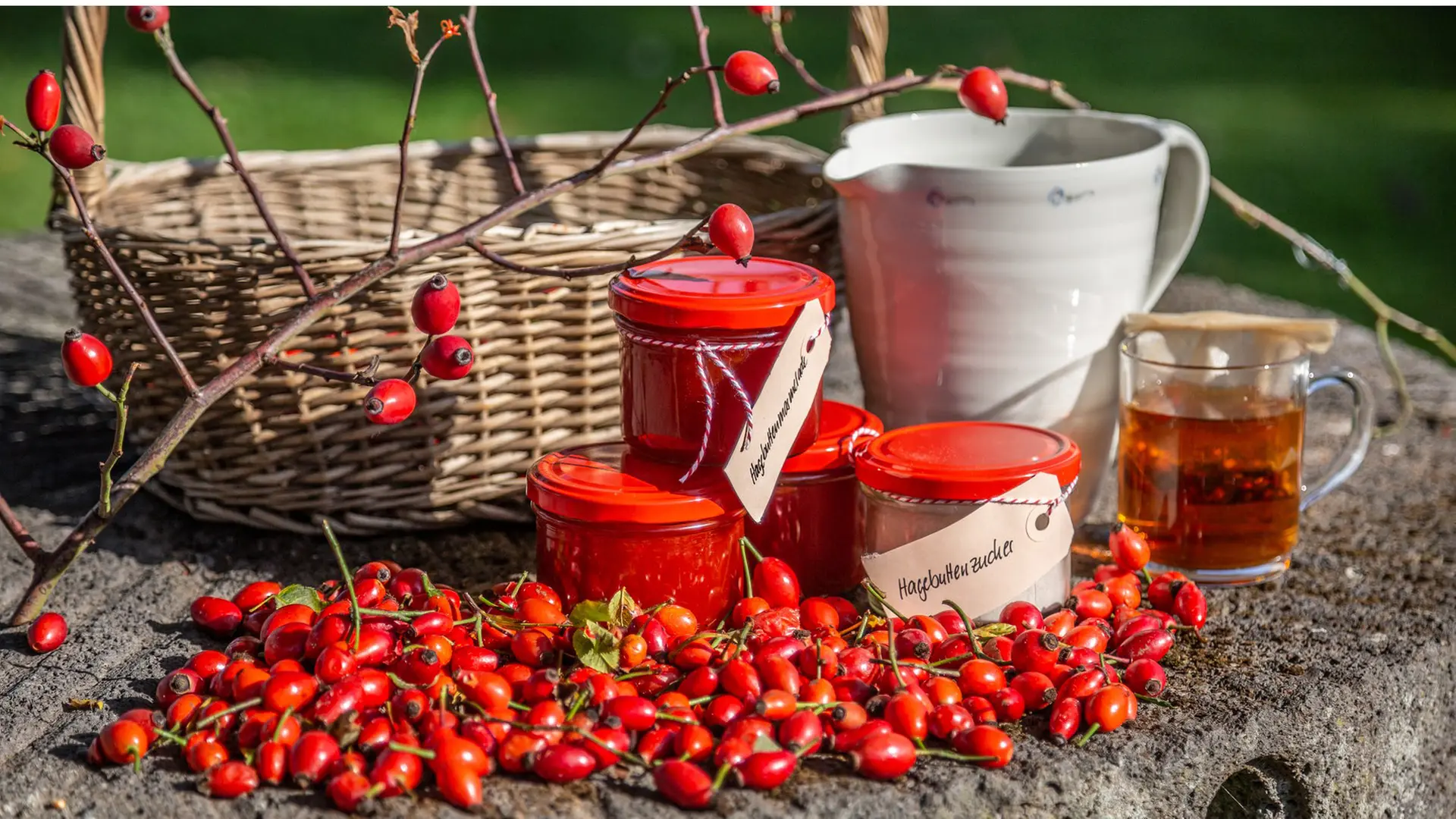 Hagebutten ernten und zu Marmelade oder Tee verarbeiten