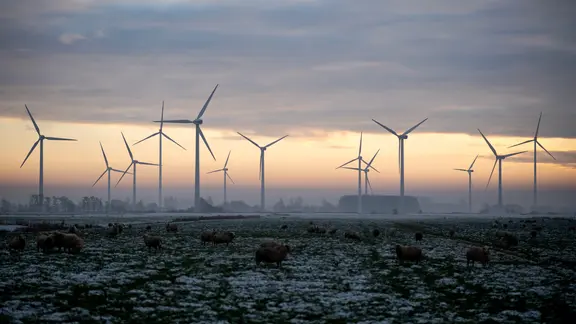 Schafe stehen auf einer verschneiten Weide im Stadtteil Oldenbrok, während die untergehende Sonne den Himmel hinter Windrädern am Horizont in ein warmes Licht taucht.