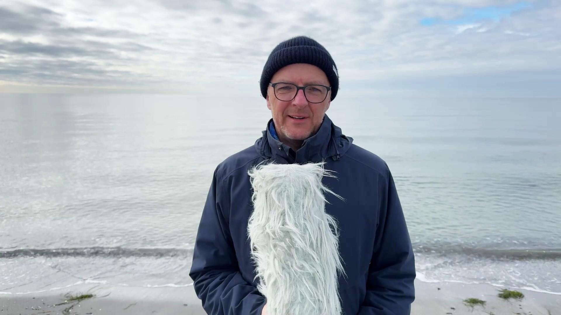 So wird das Wetter in Mecklenburg-Vorpommern am Dienstag