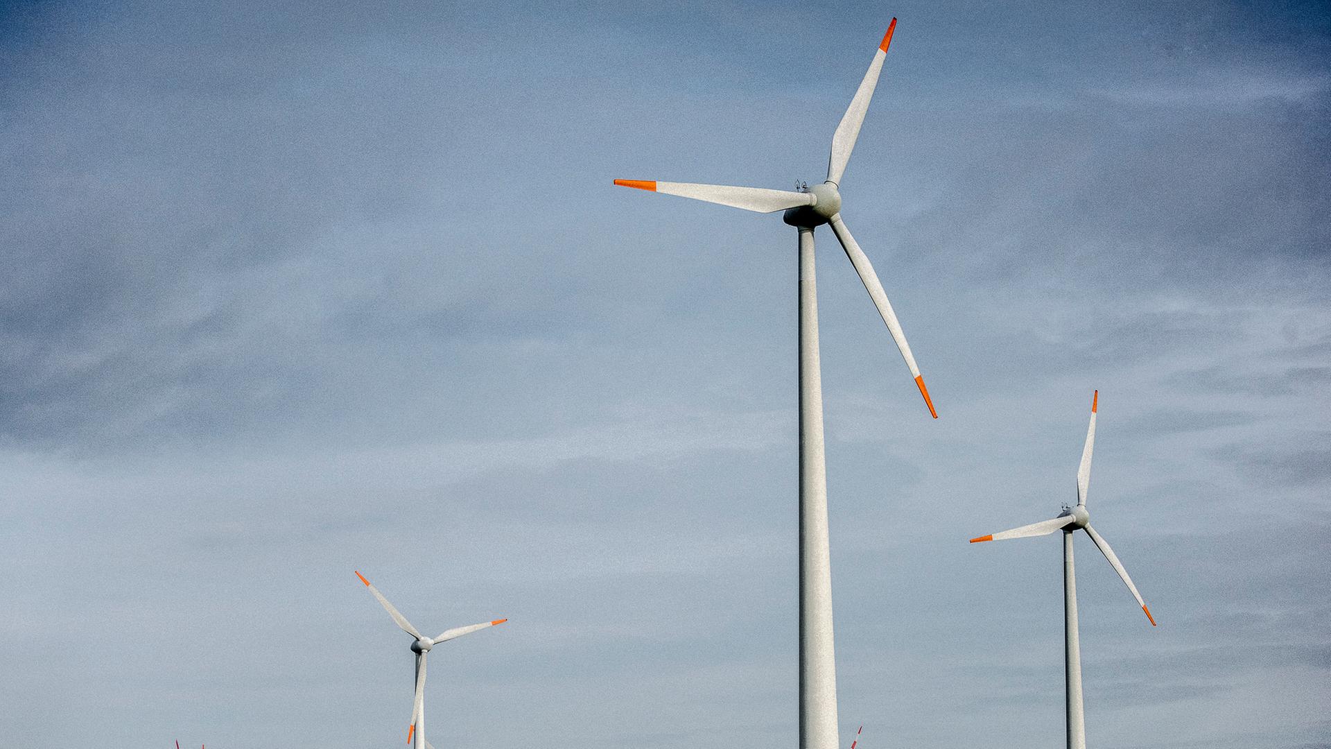 Wo sollen Windräder künftig stehen? Bürger in SH sind gefragt
