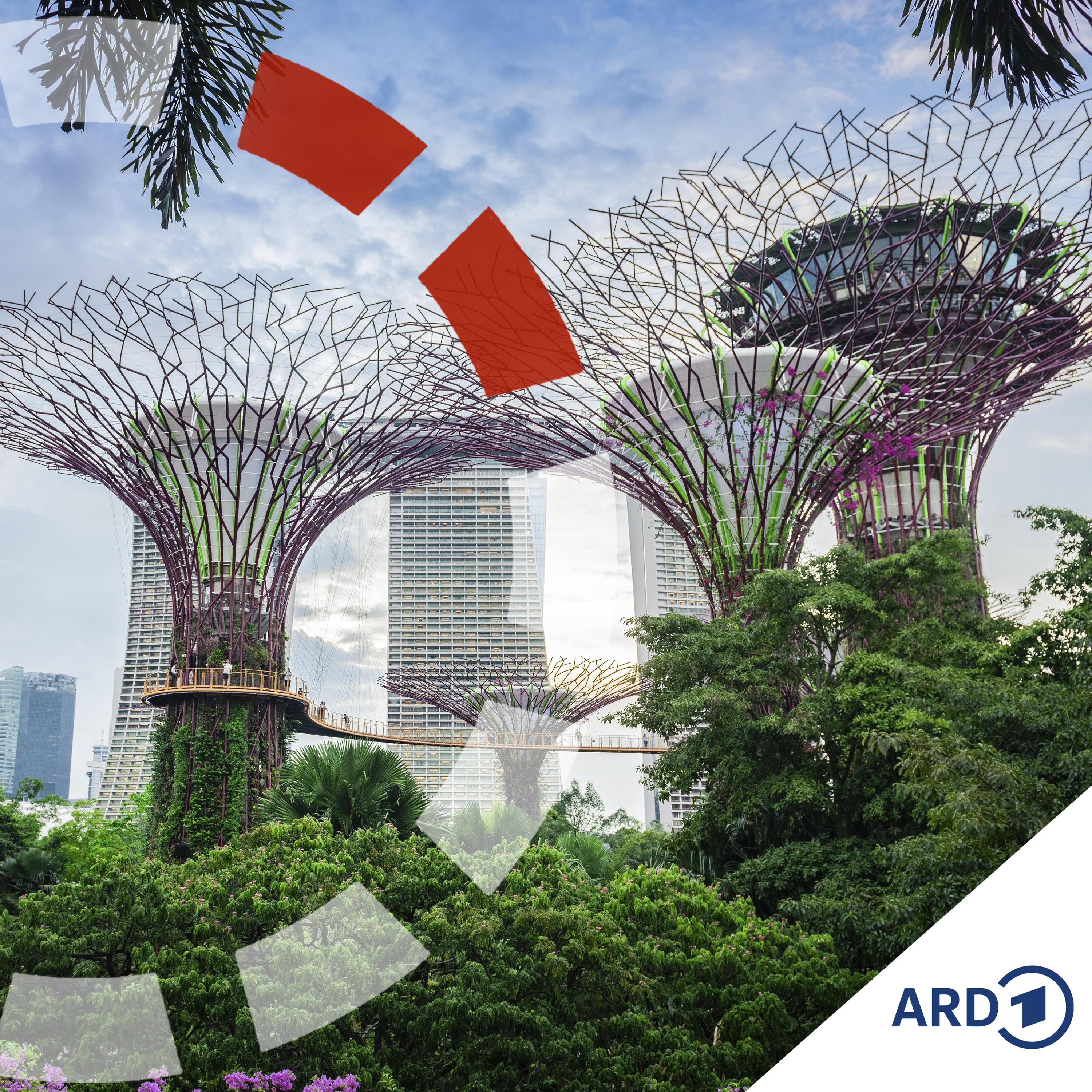 Klimaanpassung - von Singapur lernen episode artwork