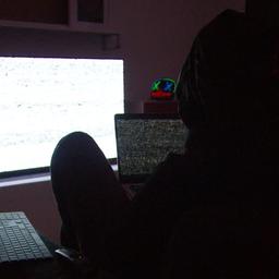 Nachgestellte Szene zum Fall "White Tiger".