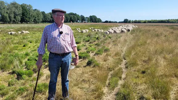 Schäfer Hans Heymann hat schon mehrere seiner Schafe an den Wolf verloren.