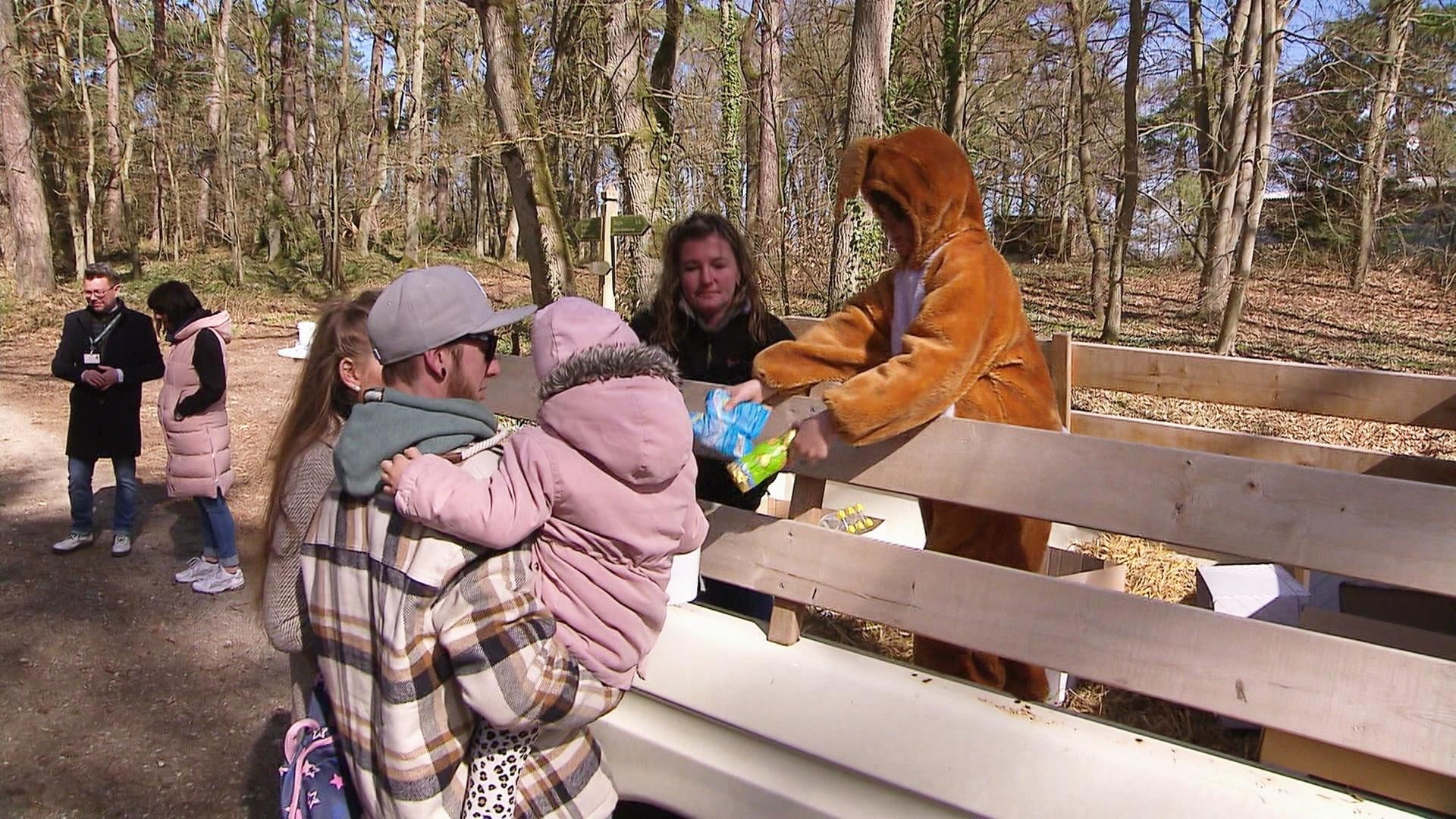 Schokolade zu teuer: Osterhasenalarm in Dargun fällt aus