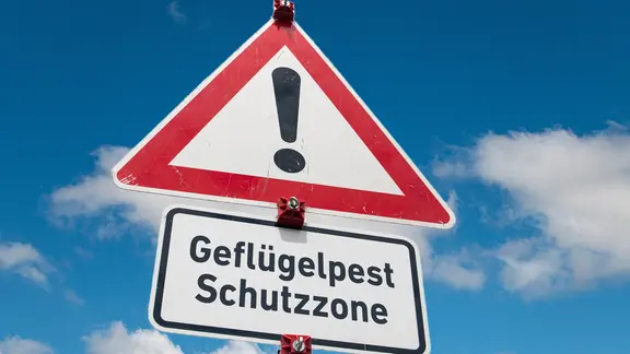 Ein Schild sagt Ein Schild sagt