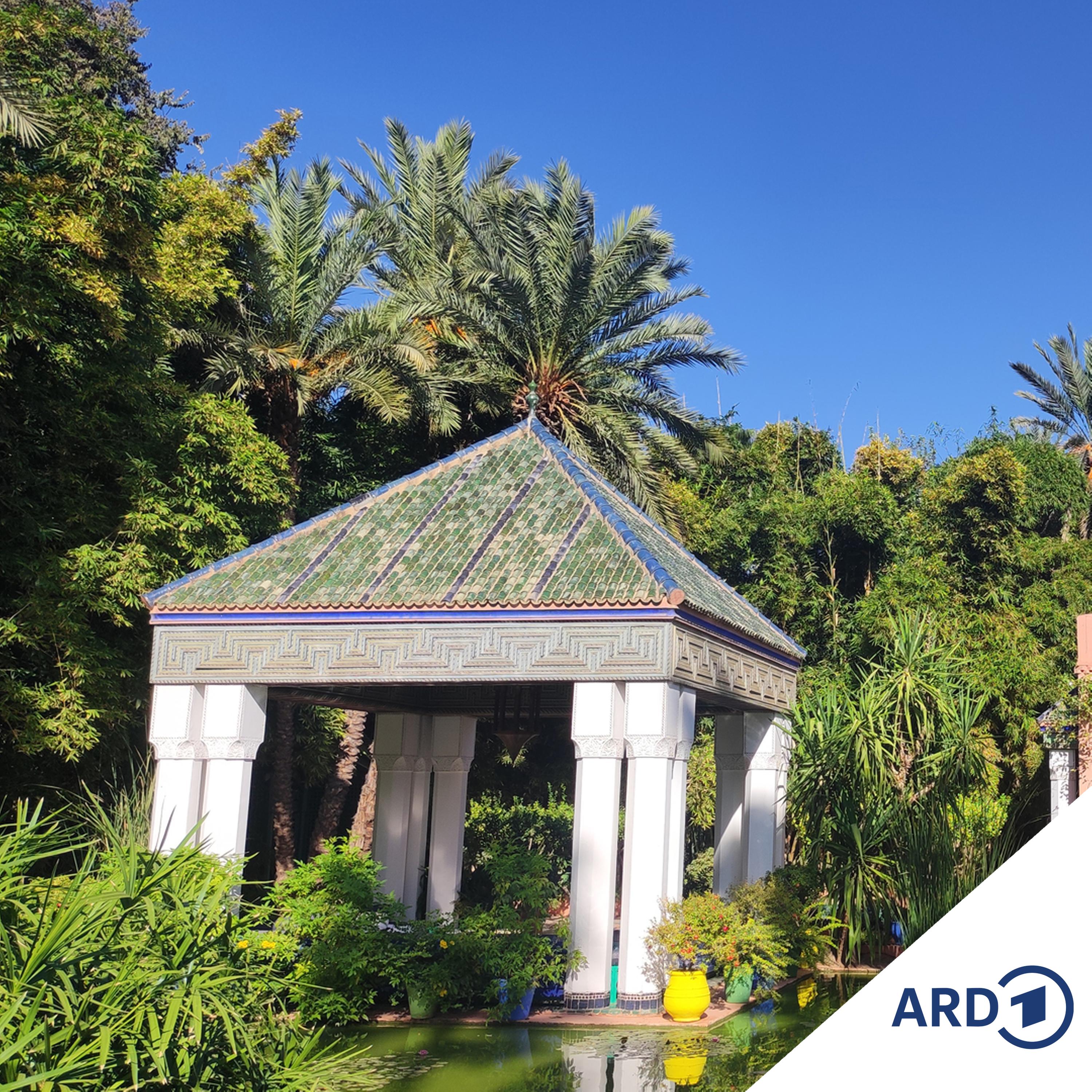 Zwischen Hamburg und Haiti