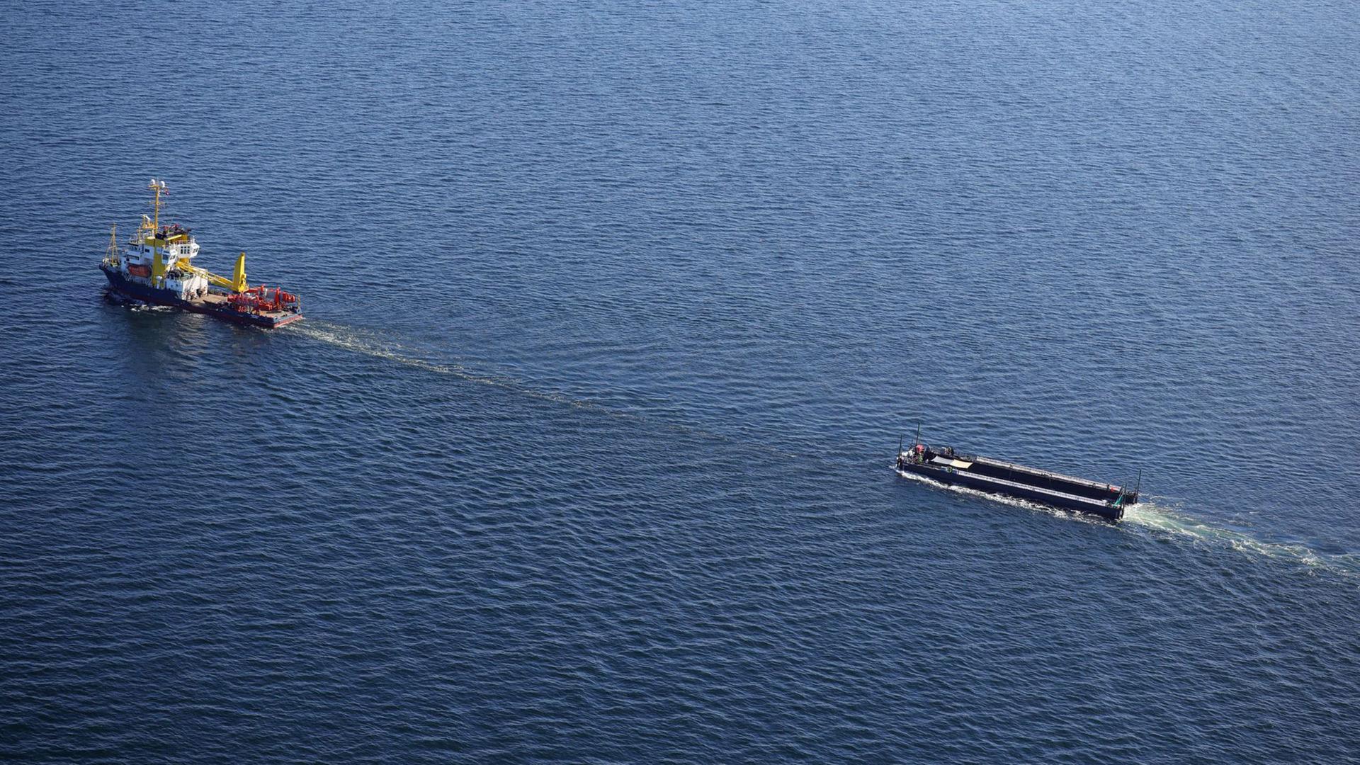 Wal-Transport vor Dänemark: Genaues Ziel in Nordsee noch unklar