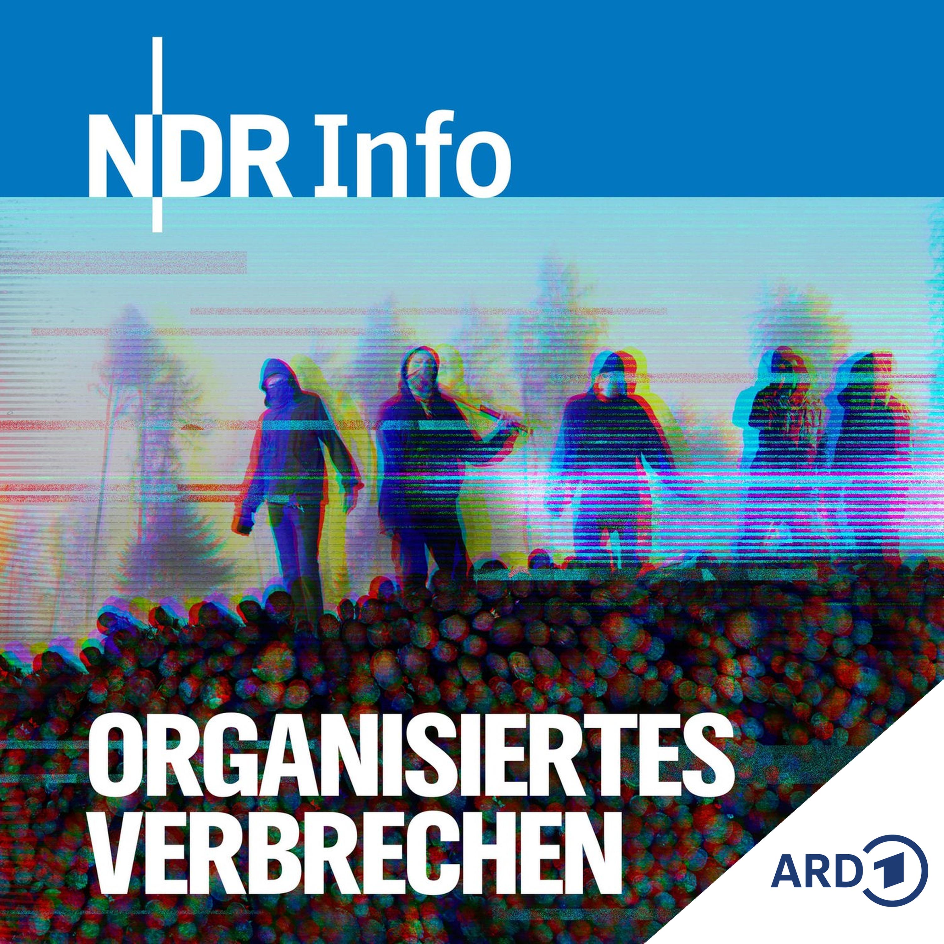 Gestohlener Wald - Kostbares Holz (3/5)