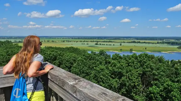 Eine Frau blickt vom Aussichtsturm auf dem Höhbeck im Wendland über die Elbtalauen.