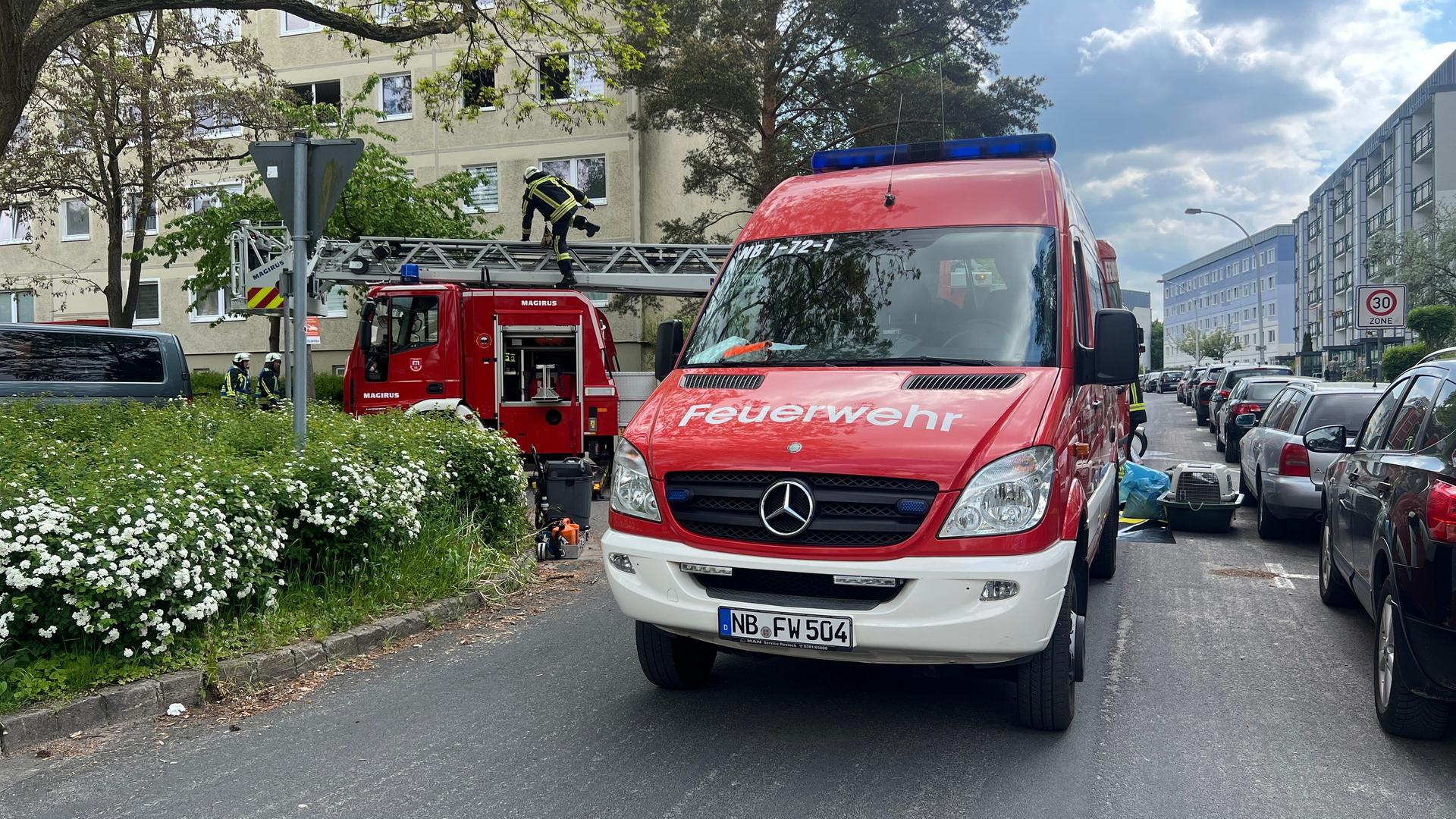 Neubrandenburg: Fahrlässige Brandstiftung im Plattenbau