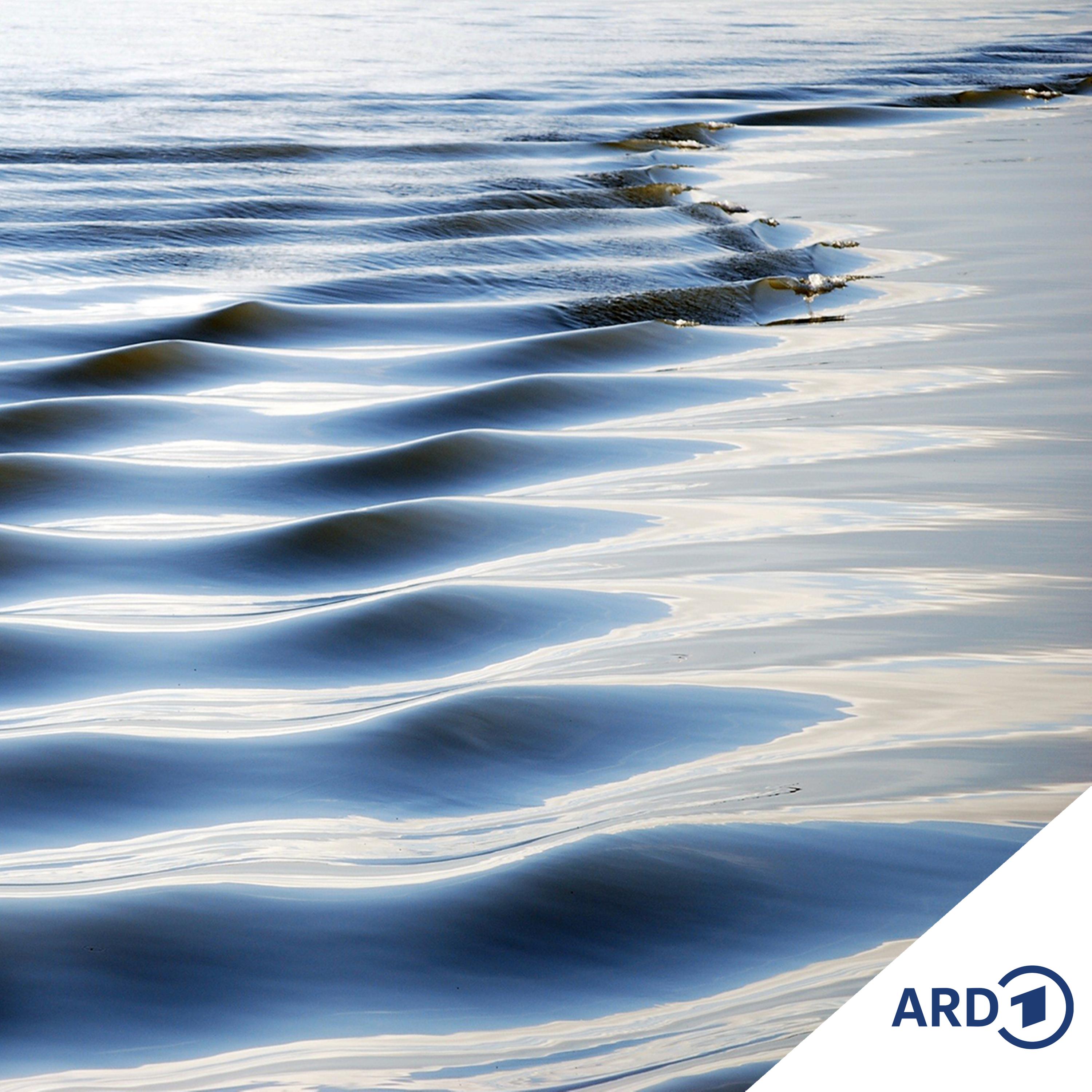 Das Hamburger Hafenkonzert