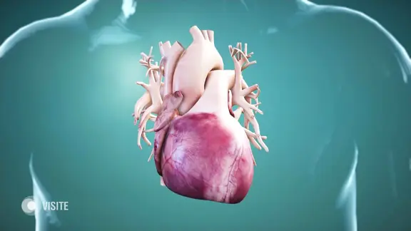 Eine Grafik eines Herzens.