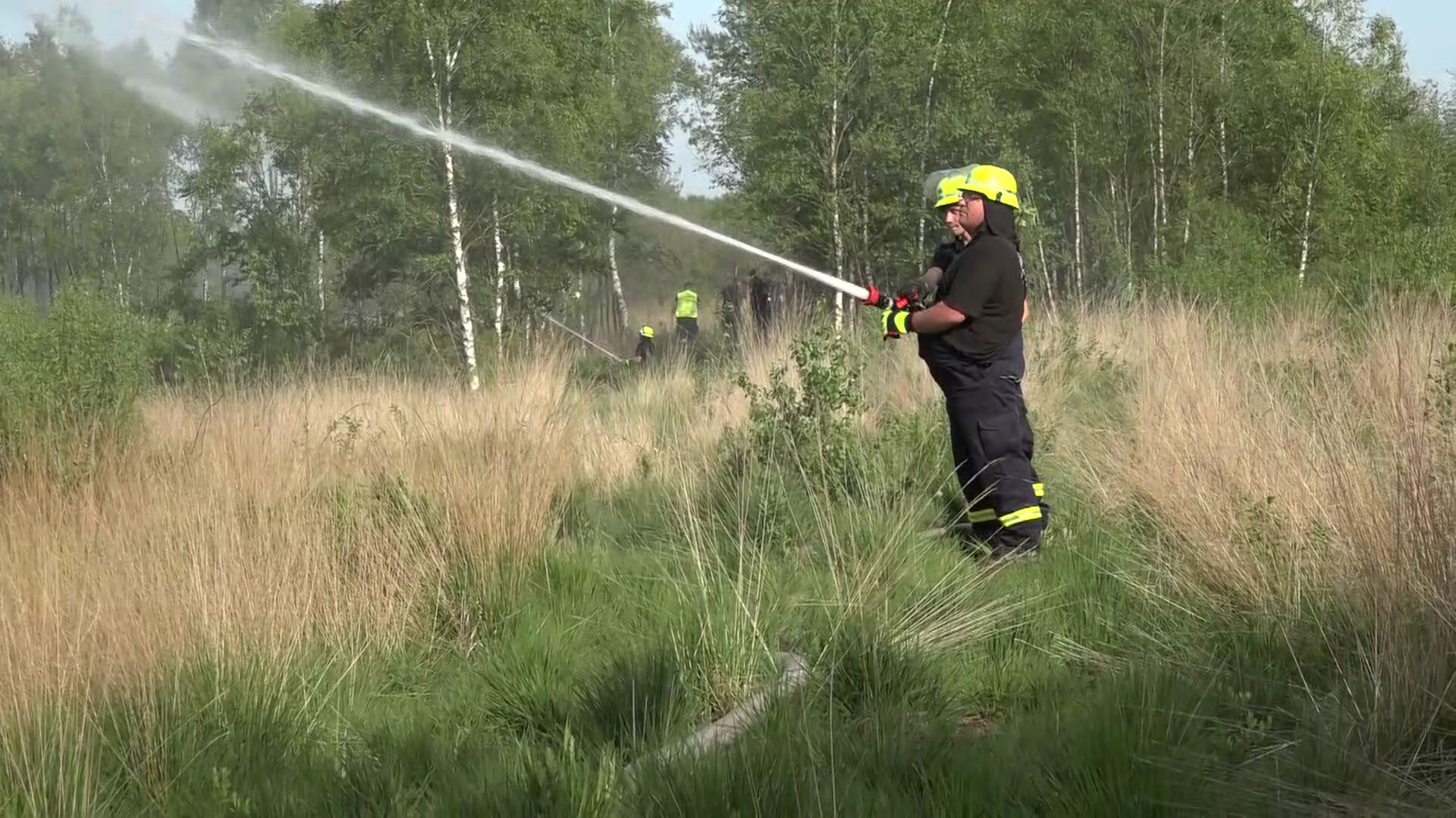 Feuerwehr löscht Brand im Königsmoor - wurde Feuer gelegt?