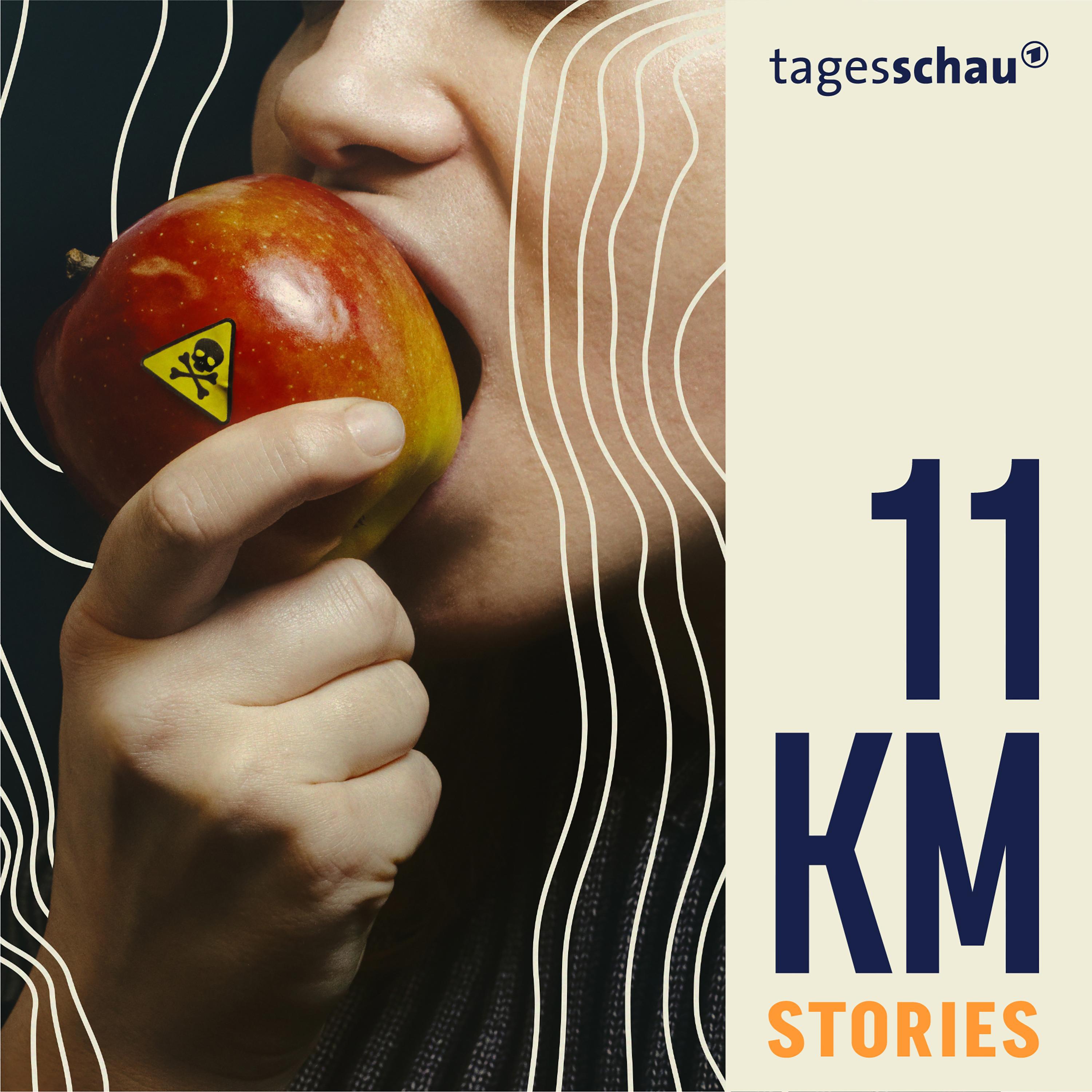 11KM Stories