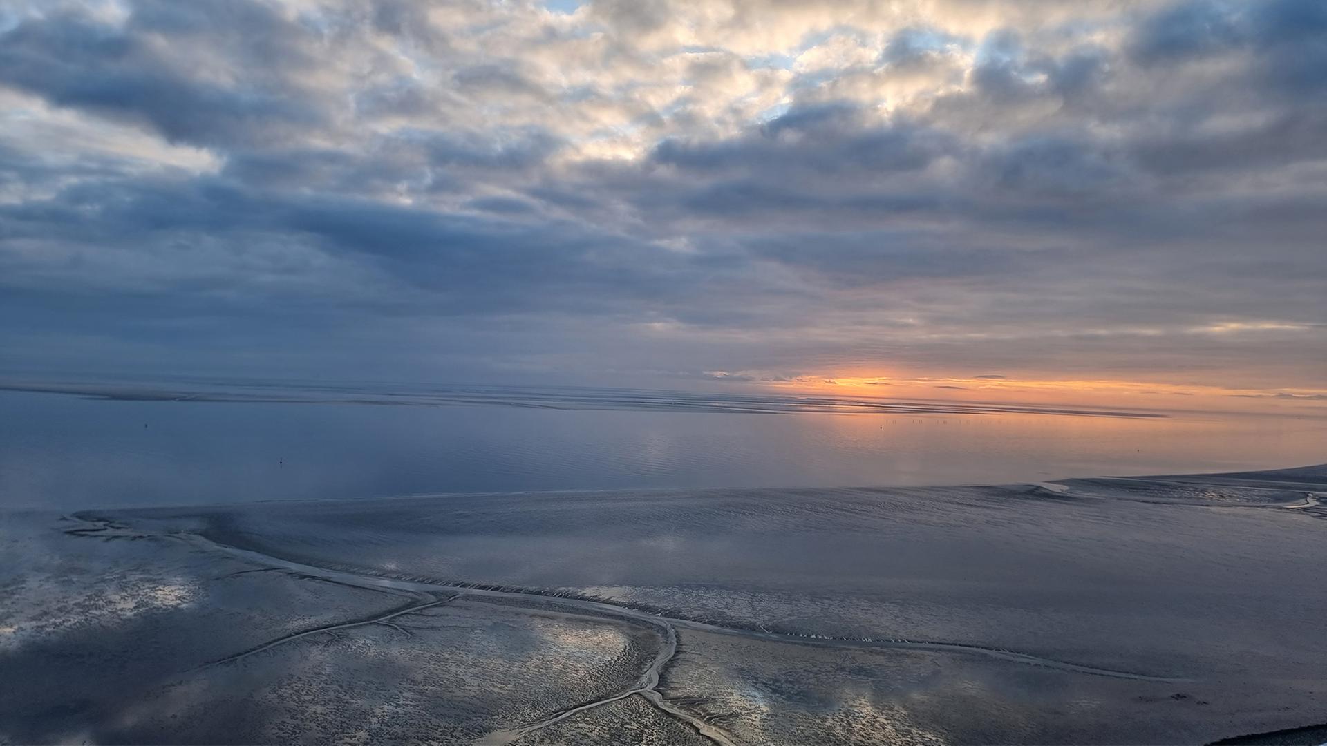 Klimawandel: Kann das Wattenmeer mit Elbschlick gerettet werden?