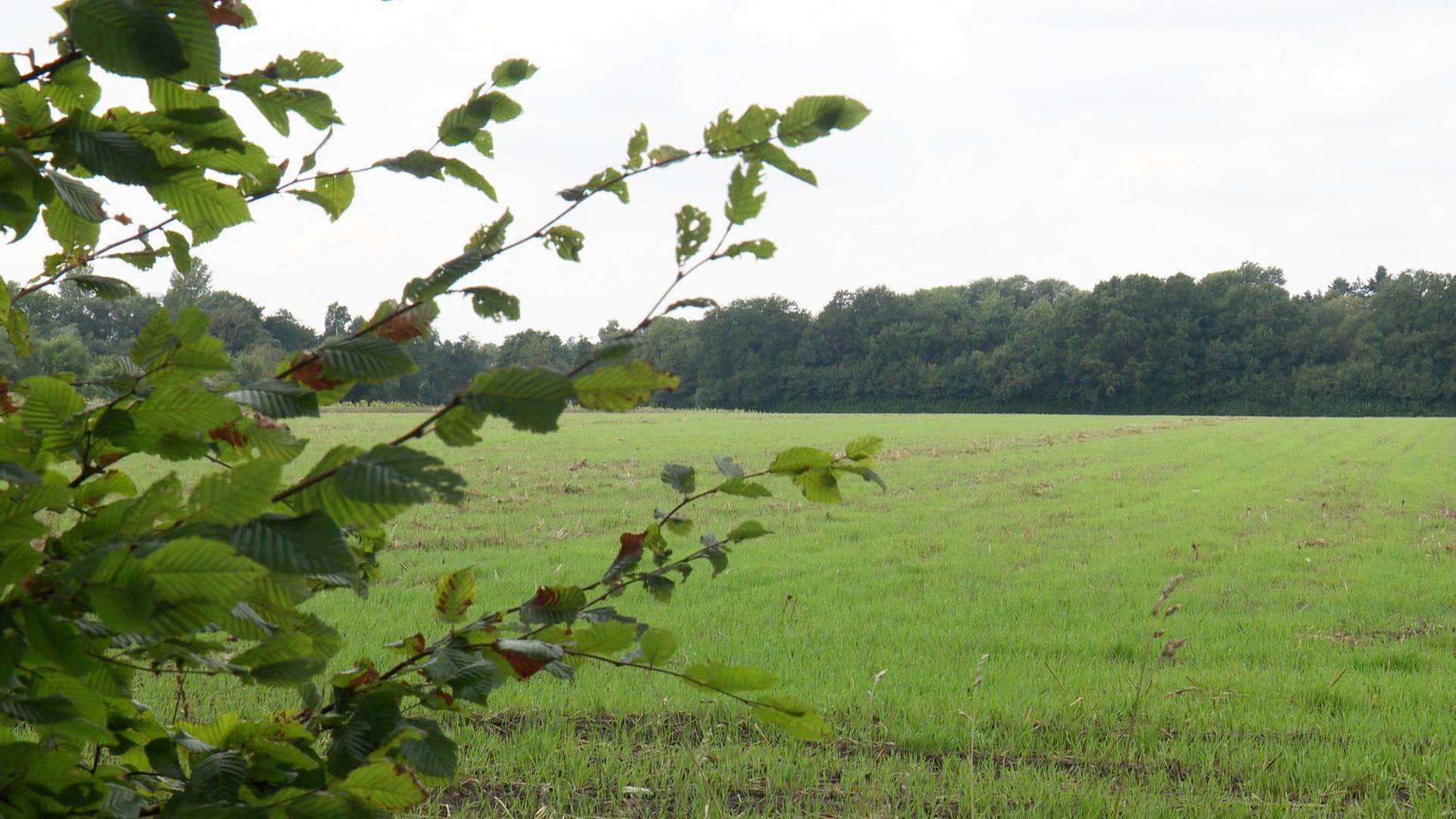 Keine Einigung mit Landwirten: „Gartenstadt Öjendorf“ vor dem Aus