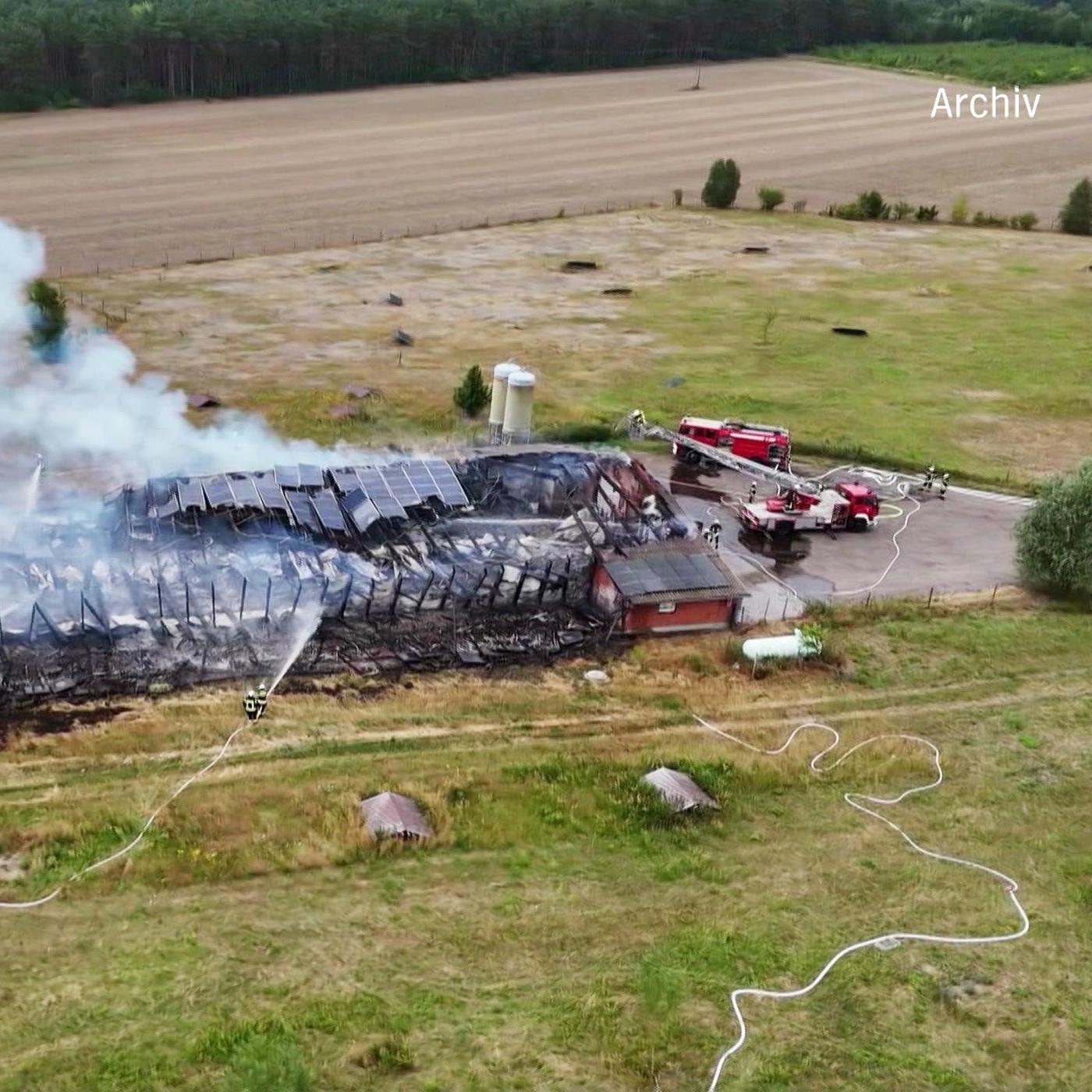 "Red Farmer": Diese Landwirte helfen, Brände zu löschen "Red Farmer": Diese Landwirte helfen, Brände zu löschen