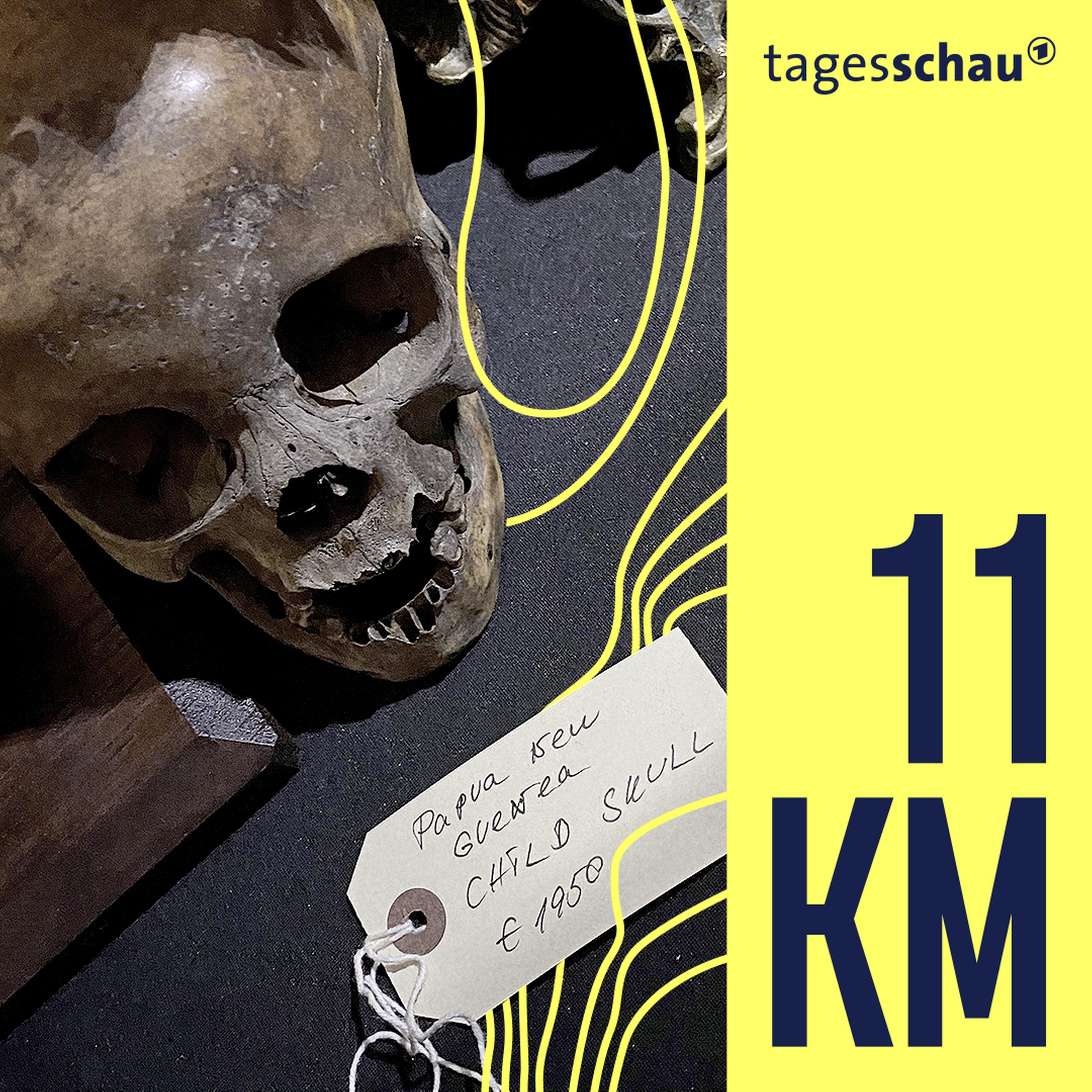 Verbrechen der Kolonialzeit? - Der Handel mit menschlichen Schädeln