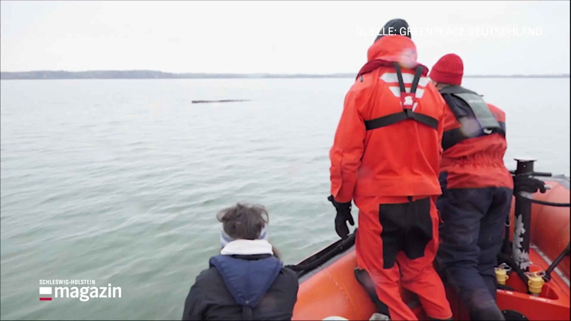 Rettung in der Wismarer Bucht: Schafft der Wal es noch?