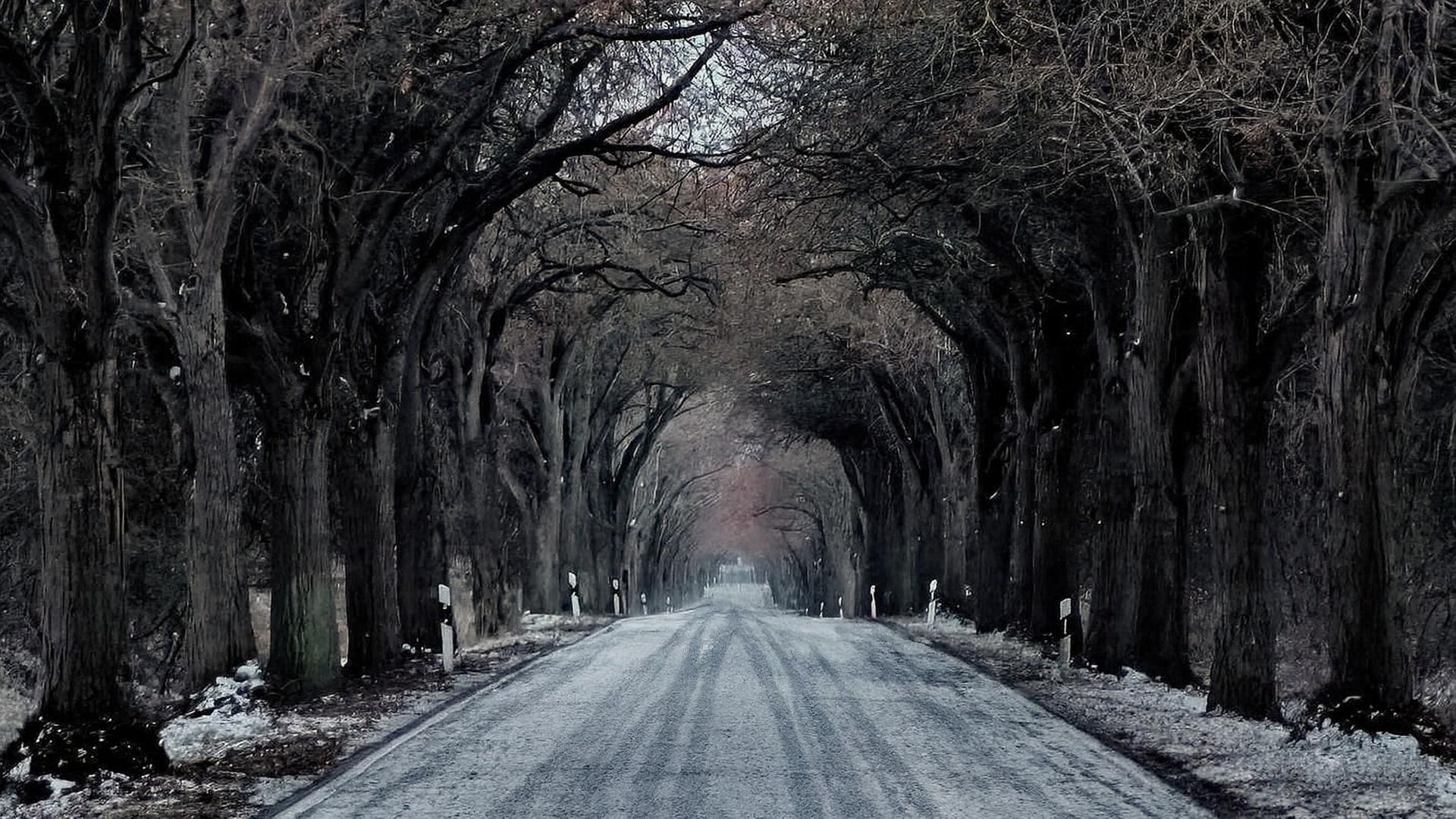 "Allee des Jahres": Die drei besten Fotos kommen aus MV